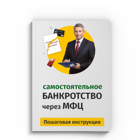 Пошаговая процедура банкротства через МФЦ в Нижнем Тагиле